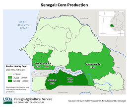 images\SG\cropprod\Senegal_Corn_preview.png